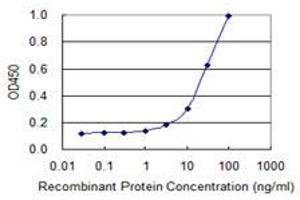 Detection limit for recombinant GST tagged TMOD3 is 1 ng/ml as a capture antibody. (TMOD3 Antikörper  (AA 280-352))