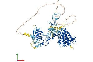 Protein Structure (PS) image for LIM Domain Kinase 2 (LIMK2) (AA 1-638) protein (His tag) (ABIN7549087)