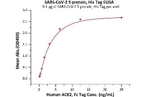 Immobilized SARS-CoV-2 S protein, His Tag (ABIN6973220) at 1 μg/mL (100 μL/well) can bind Human ACE2, Fc Tag (ABIN6952459,ABIN6952465) with a linear range of 0. (SARS-CoV-2 Spike Protein (His tag))
