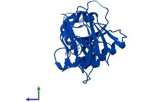 Protein Structure (PS) image for Thiamin Pyrophosphokinase 1 (TPK1) (AA 1-243) protein (His tag) (ABIN7544708)