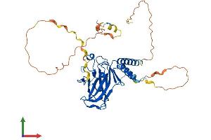 Protein Structure (PS) image for Tumor Protein P53 (TP53) (AA 1-393) protein (His tag) (ABIN7554824)