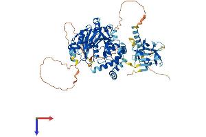 GALNT14 Protein (AA 1-639) (His tag)