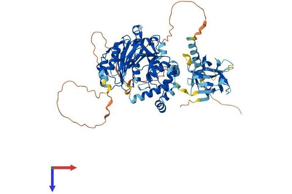 GALNT14 Protein (AA 1-639) (His tag)