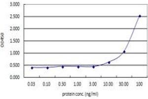 Sandwich ELISA detection sensitivity ranging from 10 ng/ml to 100 ng/ml. (ACTN4 (Human) Matched Antibody Pair)