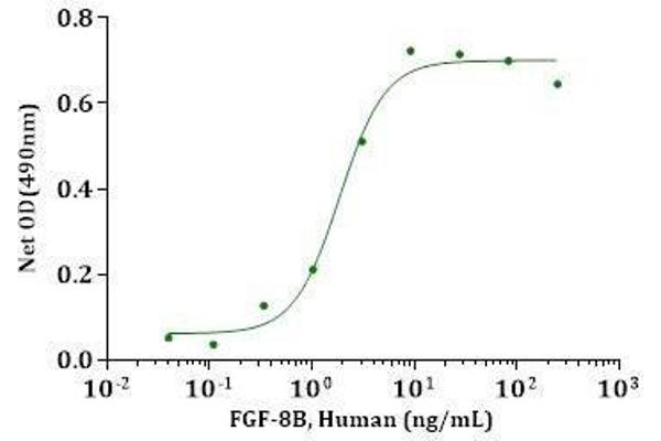 FGF8 Protein (AA 23-215)