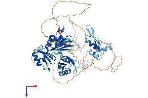A1CF Protein (AA 1-594) (His tag)