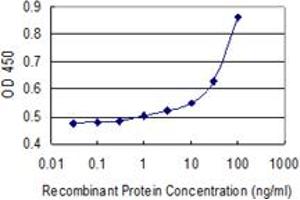 Detection limit for recombinant GST tagged A2M is 3 ng/ml as a capture antibody. (alpha 2 Macroglobulin Antikörper  (AA 641-730))