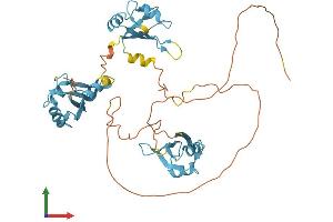 Protein Structure (PS) image for Heterogeneous Nuclear Ribonucleoprotein F (HNRNPF) (AA 1-415) protein (His tag) (ABIN7548336)