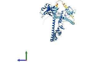 Protein Structure (PS) image for TNF Receptor-Associated Factor 5 (TRAF5) (AA 1-558) protein (His tag) (ABIN7556672)