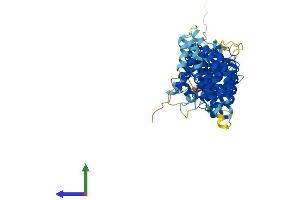 TTI2 Protein (AA 1-512) (His tag)