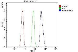 Flow Cytometry analysis of HL-60 cells using anti-ETV5 antibody (ABIN7602370).
