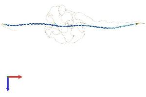 Coiled-Coil Domain Containing 73 (CCDC73) (AA 1-1066) protein (His tag)