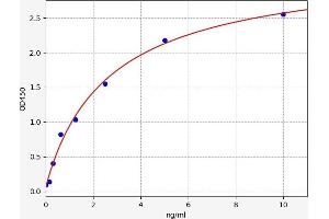 Bone Morphogenetic Protein 6 (BMP6) ELISA Kit