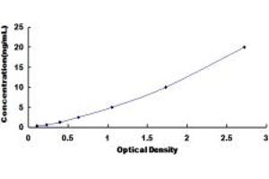 Typical standard curve (SOCS2 ELISA Kit)