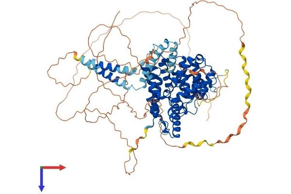 PDE4D Protein (AA 1-809) (His tag)