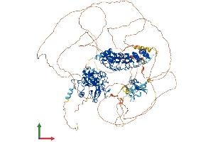 Protein Structure (PS) image for Euchromatic Histone-Lysine N-Methyltransferase 1 (EHMT1) (AA 1-1296) protein (His tag) (ABIN7563813)