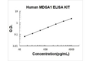 MAM Domain Containing Glycosylphosphatidylinositol Anchor 1 (MDGA1) ELISA Kit