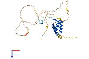 HOXA6 Protein (AA 1-232) (His tag)