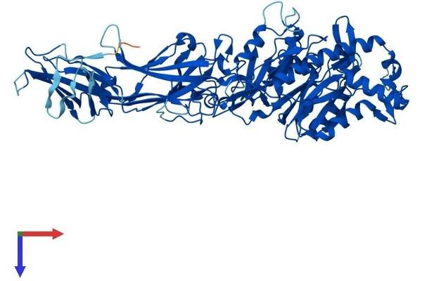 PADI1 Protein (AA 1-663) (His tag)