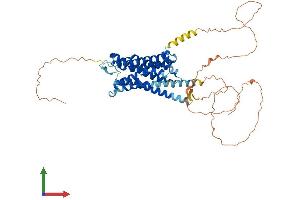 AlphaFold protein structure predicition of Human Recombinant ADRA1B Protein, UniprotID P35368