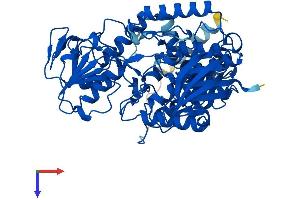 FMO5 Protein (AA 1-533) (His tag)