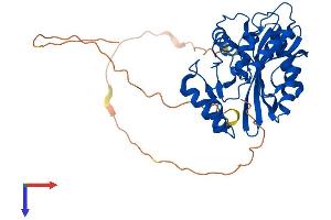 Vasohibin 2 Protein (VASH2) (AA 1-355) (His tag)