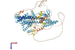 PHTF1 Protein (AA 1-762) (His tag)