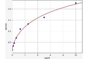 PYGM ELISA Kit