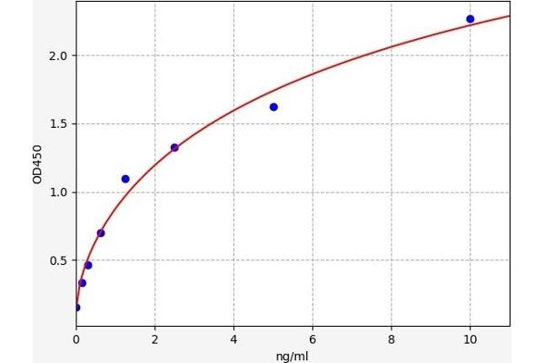 PYGM ELISA Kit