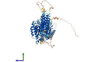 Protein Structure (PS) image for Inositol Polyphosphate-4-Phosphatase, Type I, 107kDa (INPP4A) (AA 1-939) protein (His tag) (ABIN7565029)