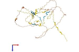 CDC42EP1 Protein (AA 1-391) (His tag)