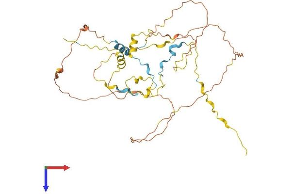CDC42EP1 Protein (AA 1-391) (His tag)