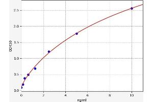 Claudin 5 (CLDN5) ELISA Kit
