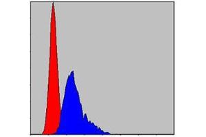 Flow Cytometry (FACS) image for anti-Chaperonin Containing TCP1, Subunit 2 (Beta) (CCT2) antibody (ABIN969010)