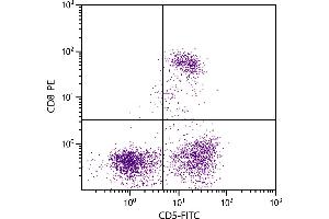 Feline peripheral blood lymphocytes were stained with Mouse Anti-Feline CD5-FITC. (CD5 Antikörper  (FITC))