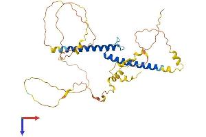 BHLHE22 Protein (AA 1-355) (His tag)