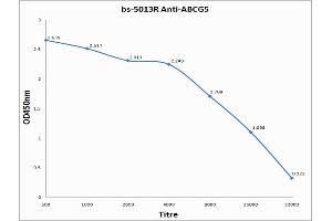 Antigen: 0. (ABCG5 Antikörper  (AA 251-350))