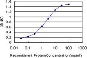 Detection limit for recombinant GST tagged SIM2 is approximately 0. (SIM2 Antikörper  (AA 426-526))