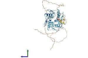 AlphaFold protein structure predicition of Human Recombinant ZNF572 Protein, UniprotID Q7Z3I7