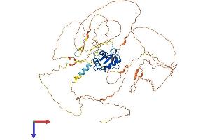 ELF1 Protein (AA 1-619) (His tag)