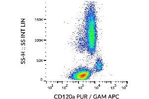 Flow Cytometry (FACS) image for anti-Tumor Necrosis Factor Receptor Superfamily, Member 1A (TNFRSF1A) antibody (ABIN1981872)