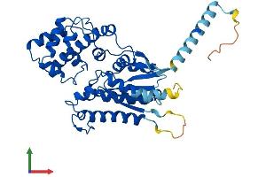AlphaFold protein structure predicition of Mouse Recombinant Gna15 Protein, UniprotID P30678