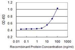 Detection limit for recombinant GST tagged RIN2 is 3 ng/ml as a capture antibody. (RIN2 Antikörper  (AA 786-894))