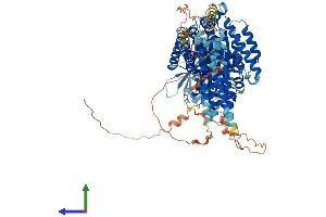 Protein Structure (PS) image for Inositol Polyphosphate-4-Phosphatase, Type I, 107kDa (INPP4A) (AA 1-977) protein (His tag) (ABIN7554185)