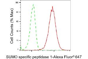 Flow cytometric analysis of SUMO specific peptidase 1 expression in HepG2 cells using SUMO specific peptidase 1 antibody (ABIN7800975), 1:2,000). (Rekombinanter SUMO Specific Peptidase 1 Antikörper)