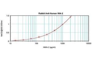Image no. 5 for anti-Melanoma Inhibitory Activity Protein 2 (MIA2) antibody (ABIN464847) (MIA2 Antikörper)