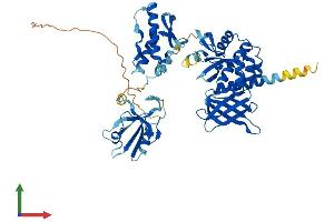 Protein Structure (PS) image for Sorting Nexin 27 (SNX27) (AA 1-539) protein (His tag) (ABIN7563717)