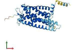Protein Structure (PS) image for G Protein-Coupled Receptor 171 (GPR171) (AA 1-319) protein (His tag) (ABIN7548154)