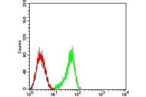 Flow cytometric analysis of HL-60 cells using CD53 mouse mAb (green) and negative control (red).