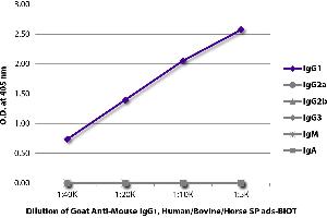 Goat anti-Mouse IgG1 antibody (Biotin) - Preadsorbed